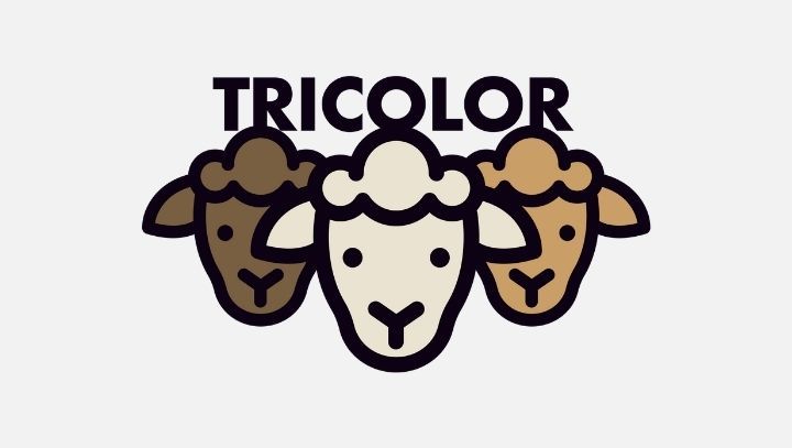 logo collectif tricolor