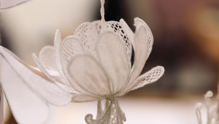 photo dentelle Alençon