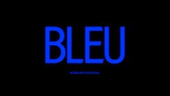 Film BLEU - Mobilier national